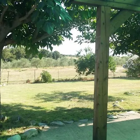 Вилла Domaine Alicia Лингиццета
