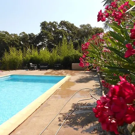 Вилла Domaine Alicia Лингиццета